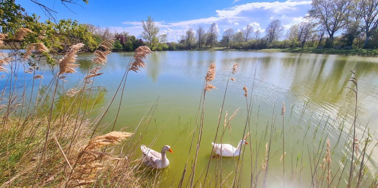 Hotel Sara*** Cesenatico Dış mekan fotoğraf